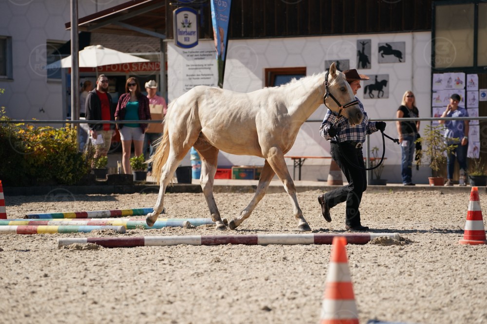 s_A_907522.JPG